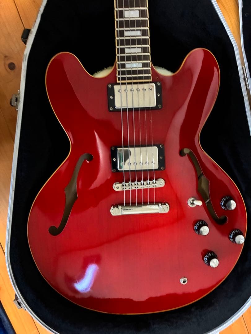 EDWARDS E-SA エドワーズ　セミアコ　新品定価16万円