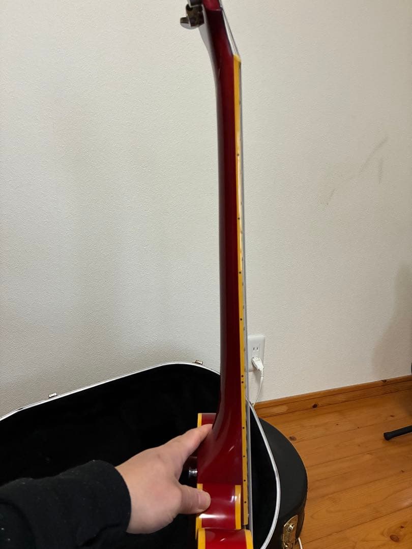 EDWARDS E-SA エドワーズ　セミアコ　新品定価16万円