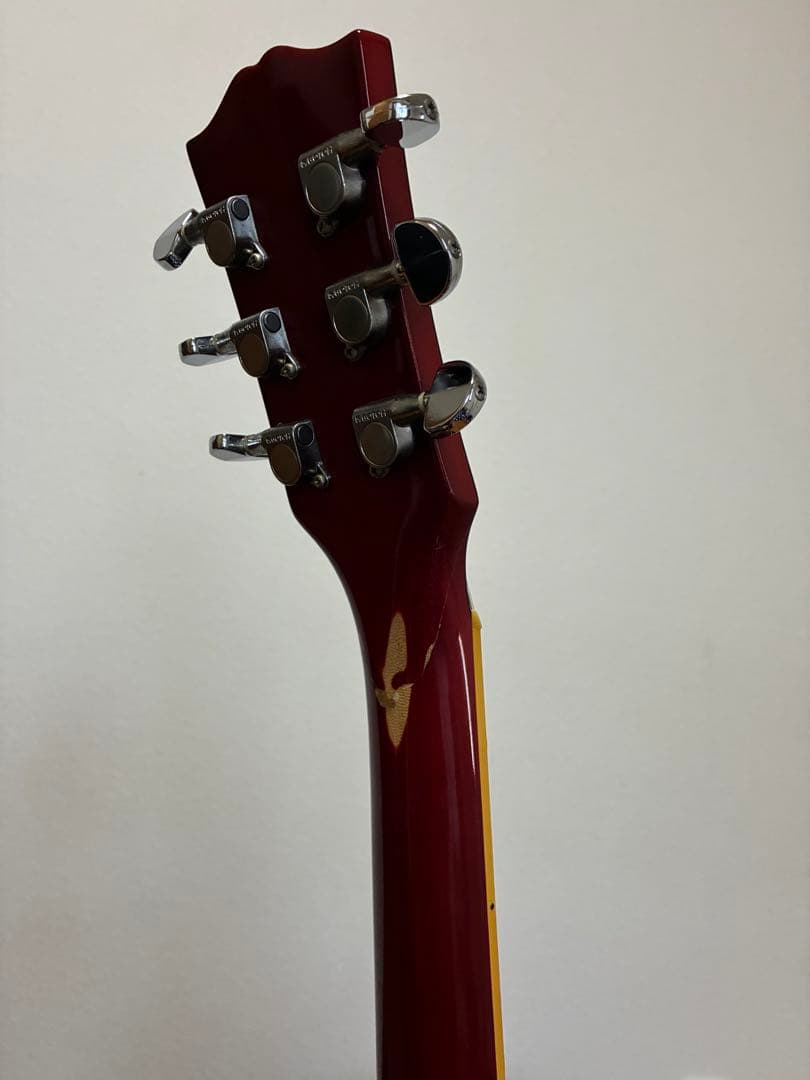 EDWARDS E-SA エドワーズ　セミアコ　新品定価16万円