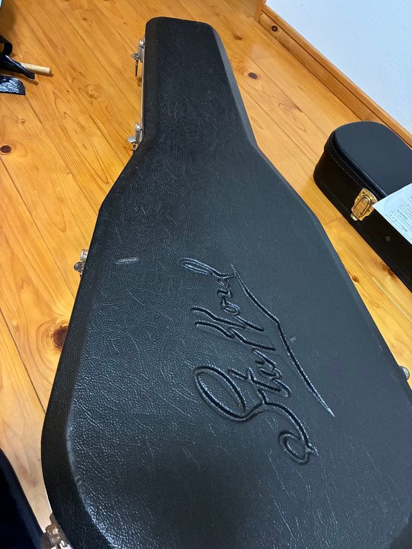 EDWARDS E-SA エドワーズ　セミアコ　新品定価16万円