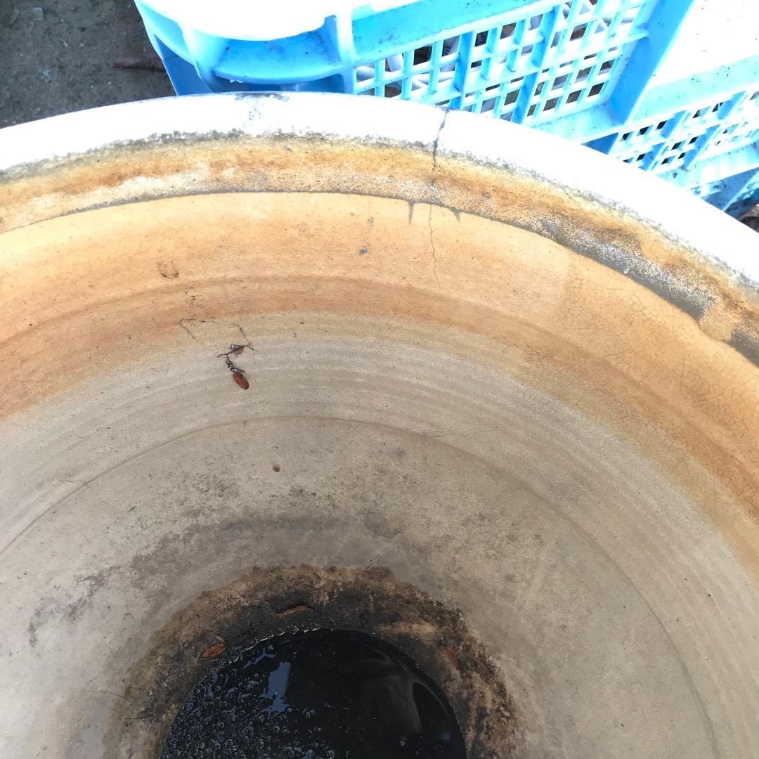 陶器製 円形水鉢