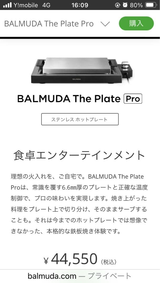 BALMUDA The Plate Pro K10A-BK ブラック