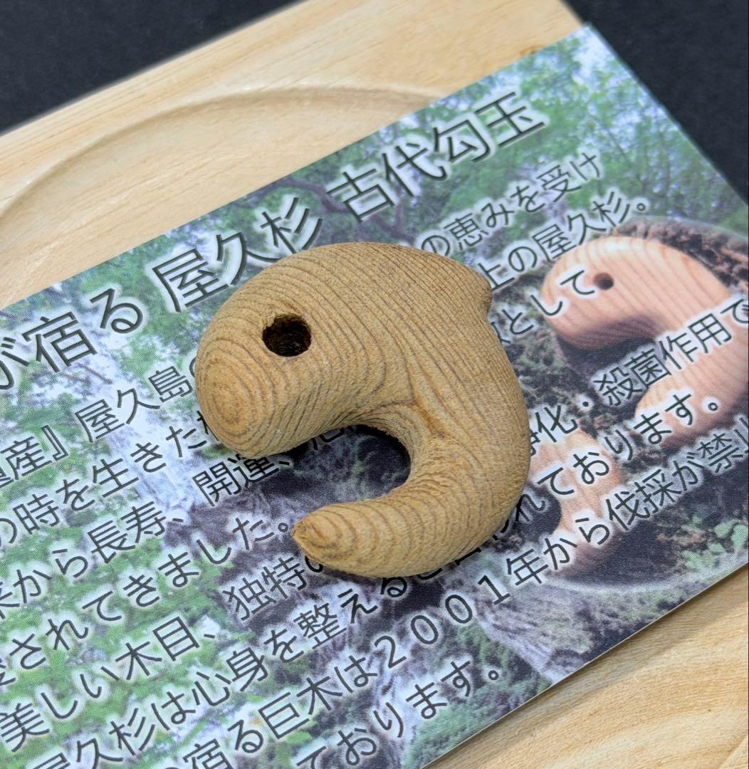 屋久杉(無垢)勾玉飛龍　精霊宿る天然木