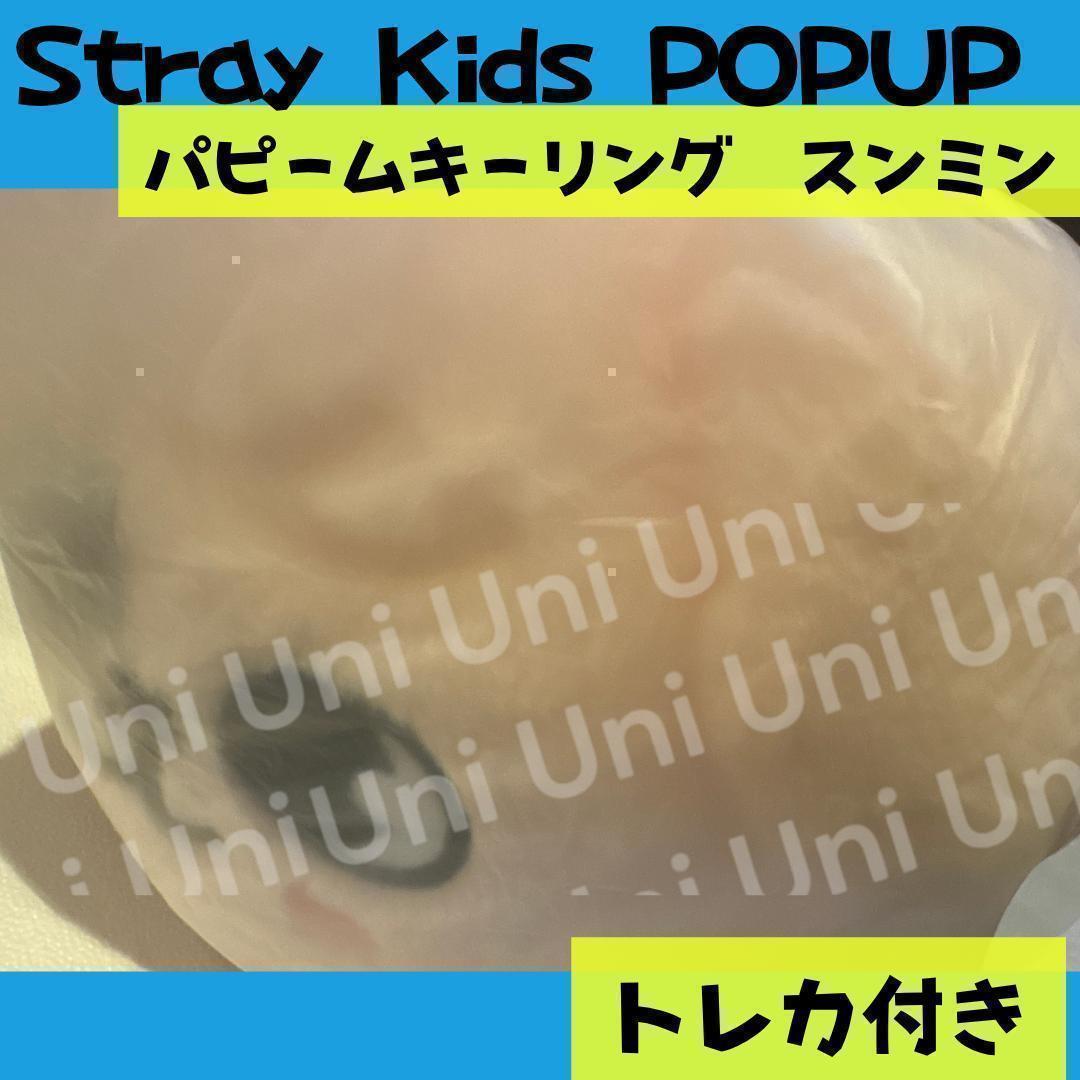 スキズ　POPUP スンミン　パピーム　抱き枕　メンプロ　A241