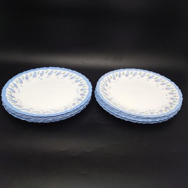 231【12枚セット】Luminarc 直径25cm プレート