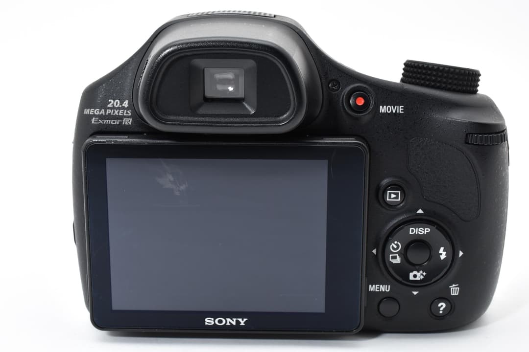 ソニー　SONY DSC-HX300 0450