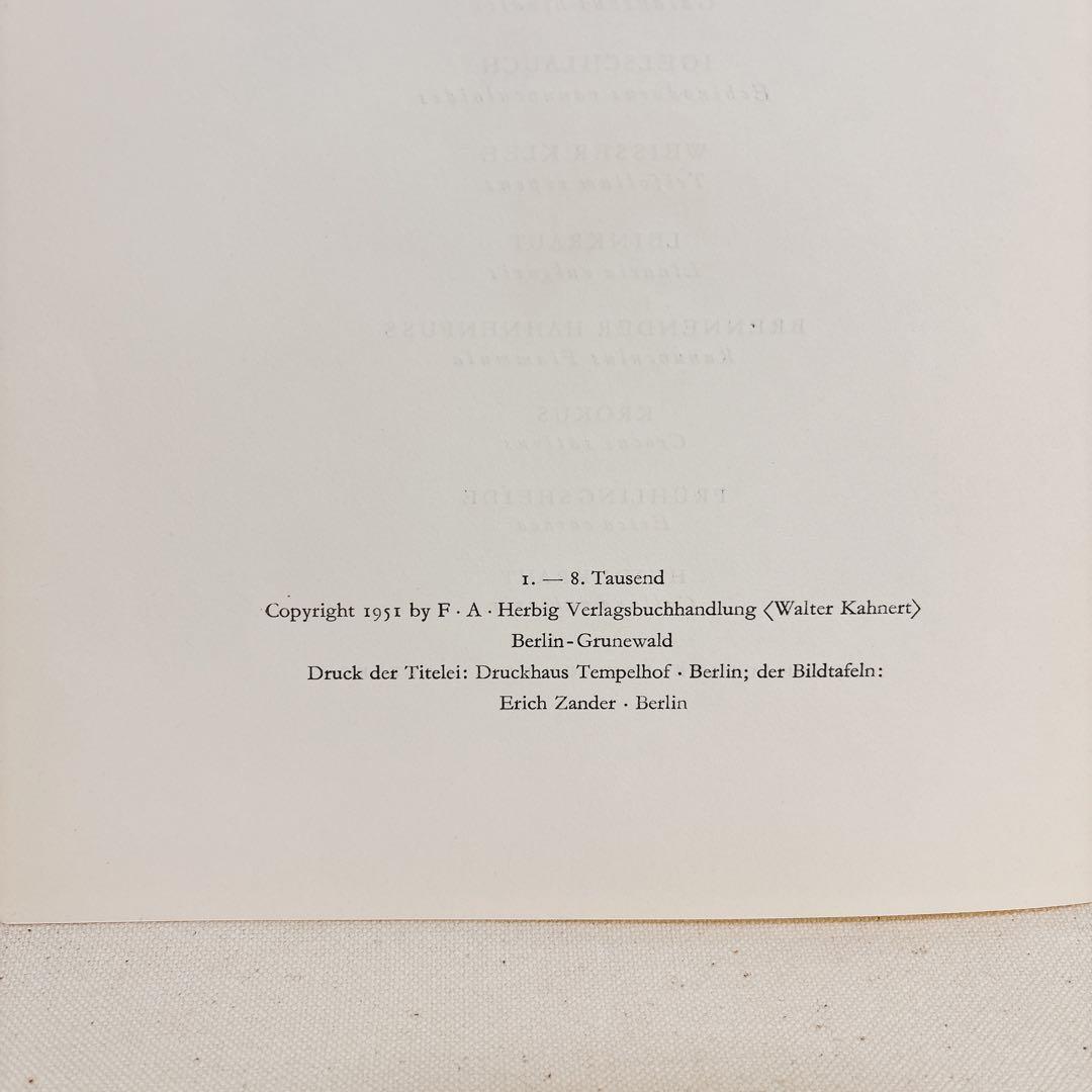 ⑥ 美しい植物画 15枚 1951年 BLUMEN Elsa Felsko