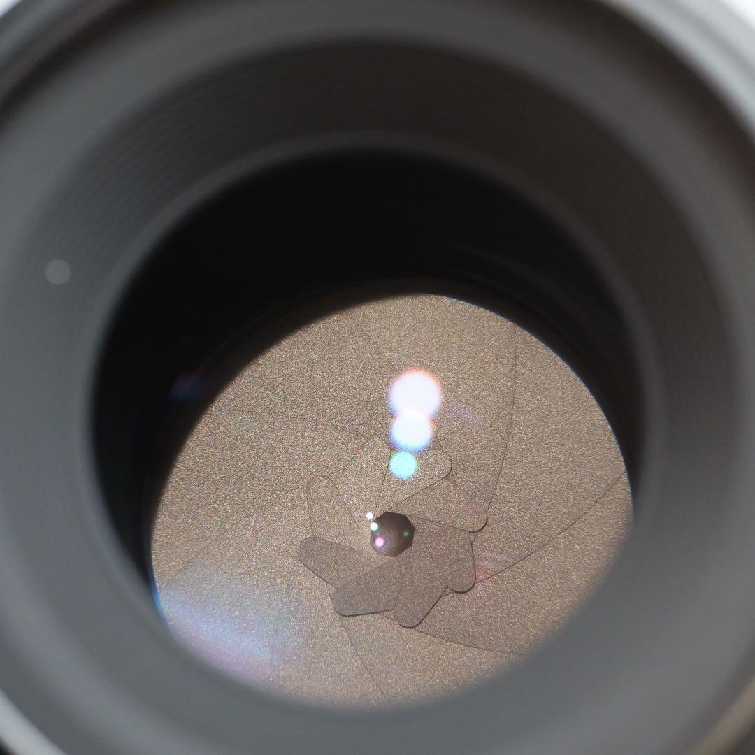 【PENTAX FA マクロ 100mm F2.8】Kマウント 単焦点マクロ