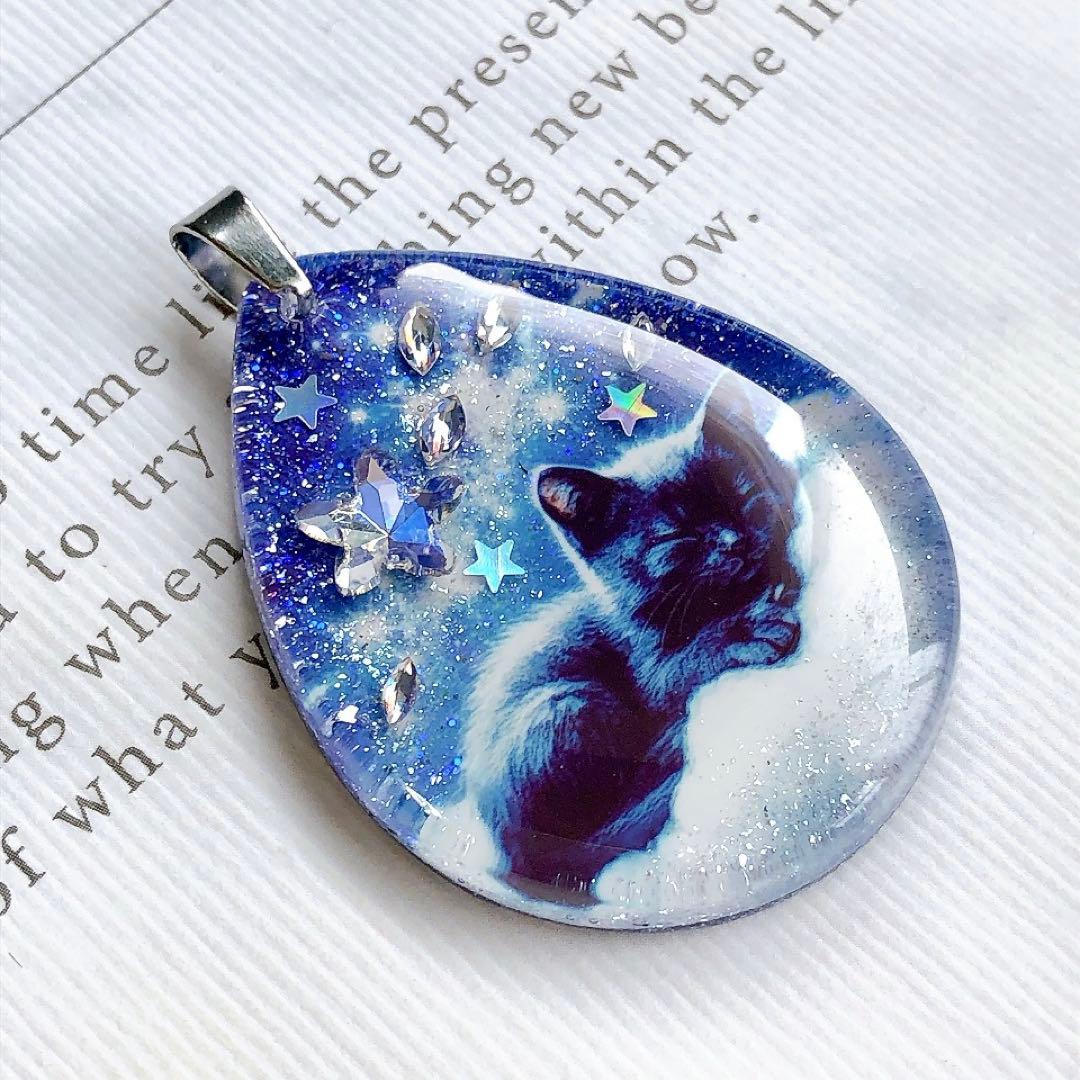 同梱値引100円❤️No.2468 レジン ペンダントトップ 猫 ネコ ねこ ♡