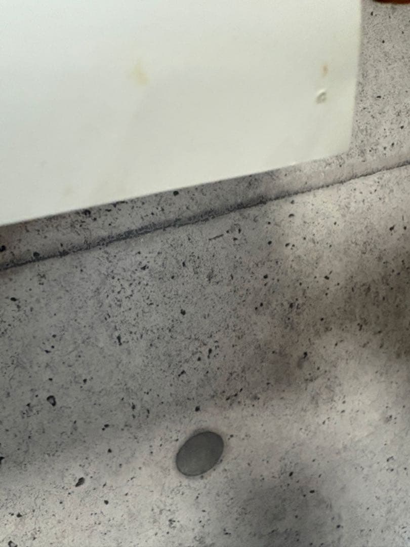 D019 映画ポスター ハチ公物語 1987年 当時物 劇場用 映倫マーク有