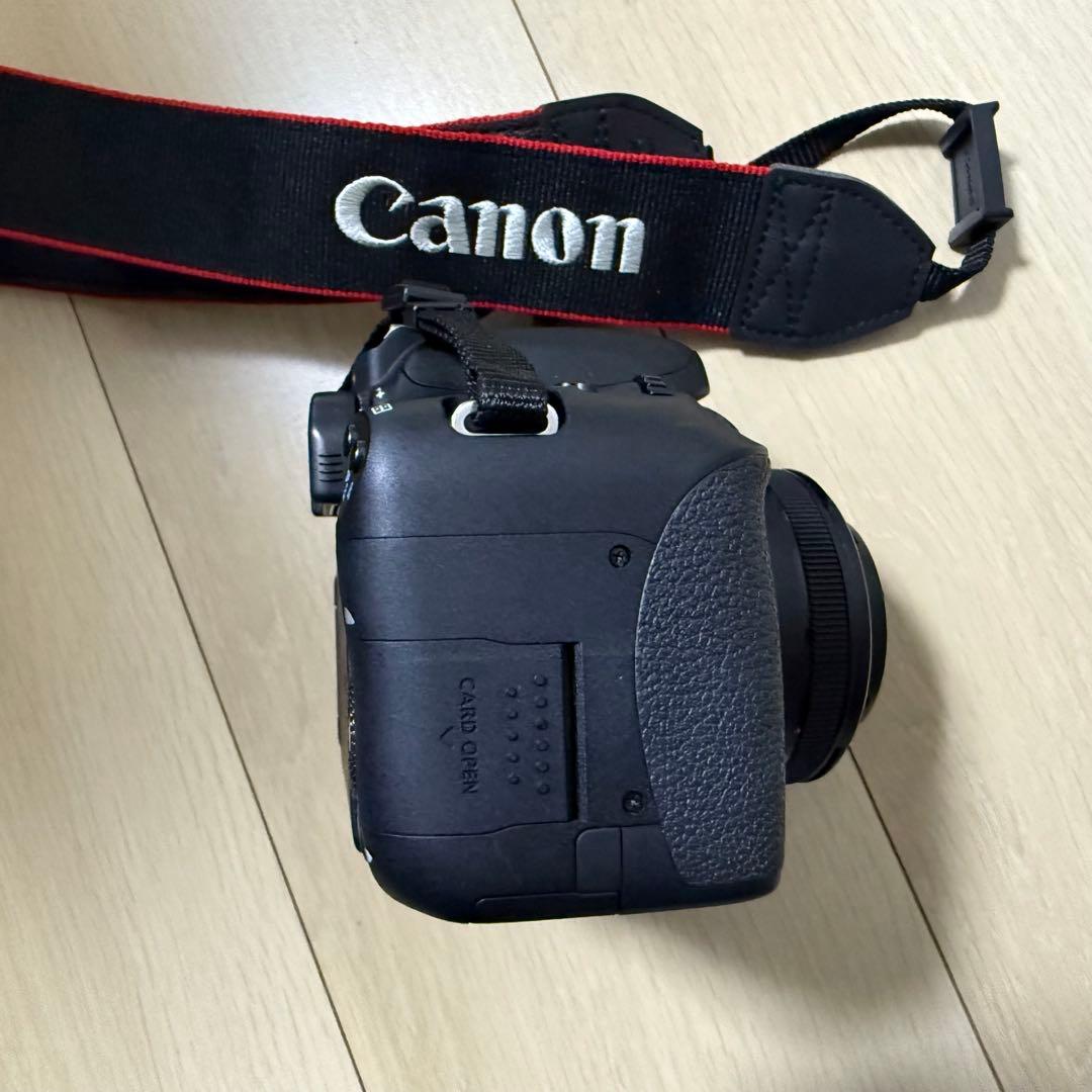 Canon eos8000d レンズ2種類　カバン付き