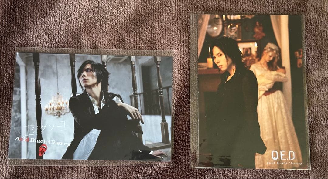 Acid Black Cherry ハロウィンパーティ バッグ まとめ売り