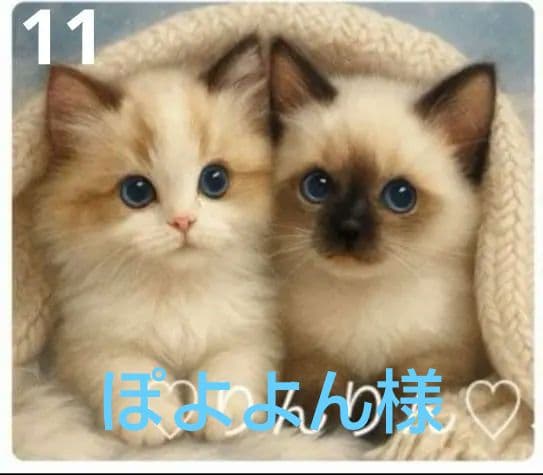 ご確認用　りんりん様パネル2種類　ねこちゃん柄　ハンカチ　ハンドメイド12/14