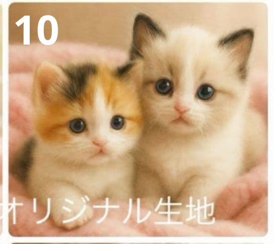ご確認用　りんりん様パネル2種類　ねこちゃん柄　ハンカチ　ハンドメイド12/14