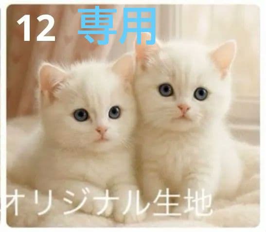ご確認用　りんりん様パネル2種類　ねこちゃん柄　ハンカチ　ハンドメイド12/14
