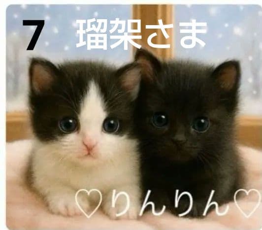 ご確認用　りんりん様パネル2種類　ねこちゃん柄　ハンカチ　ハンドメイド12/14