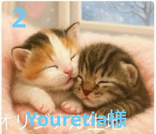 ご確認用　りんりん様パネル2種類　ねこちゃん柄　ハンカチ　ハンドメイド12/14