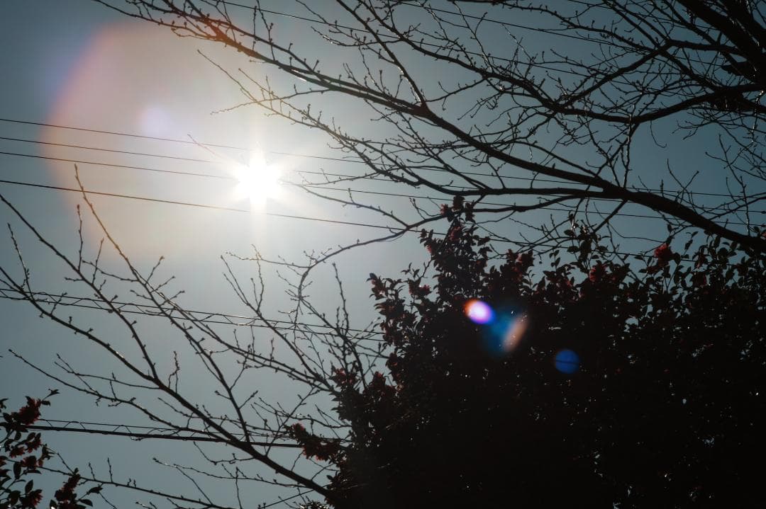 【整備＆テスト済】Nikkor-H Auto 85mm F1.8 787