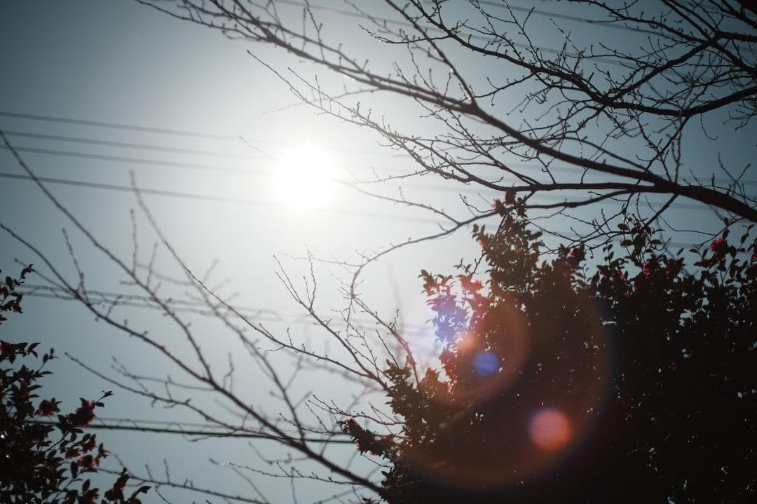 【整備＆テスト済】Nikkor-H Auto 85mm F1.8 787