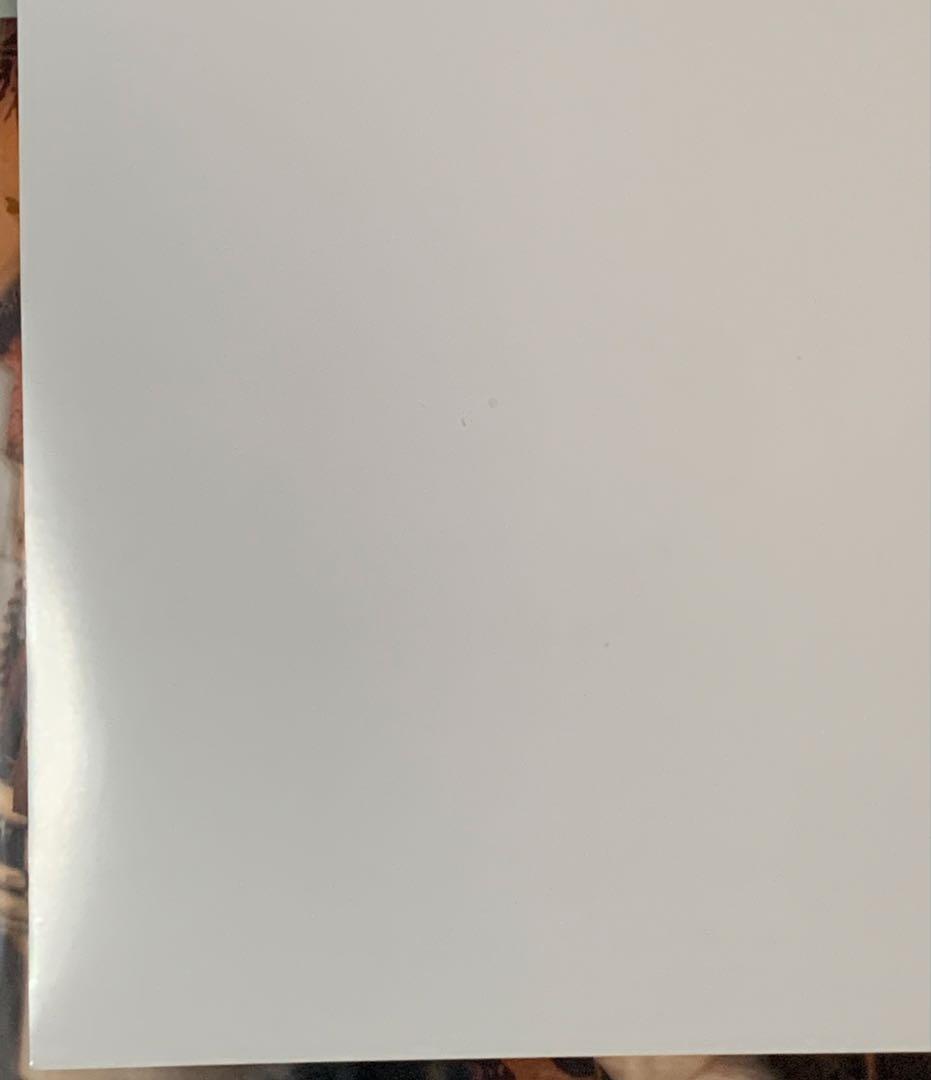 【B2】 バイオハザード 5th コードベロニカ 販促 ポスター