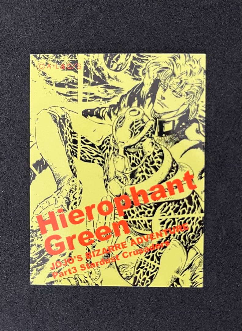 ジョジョの奇妙な冒険 リアルペイントシート 花京院典明 ハイエロファントグリーン