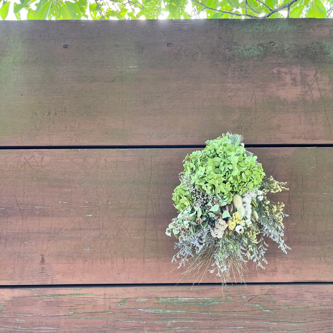 アナベル紫陽花　スワッグ