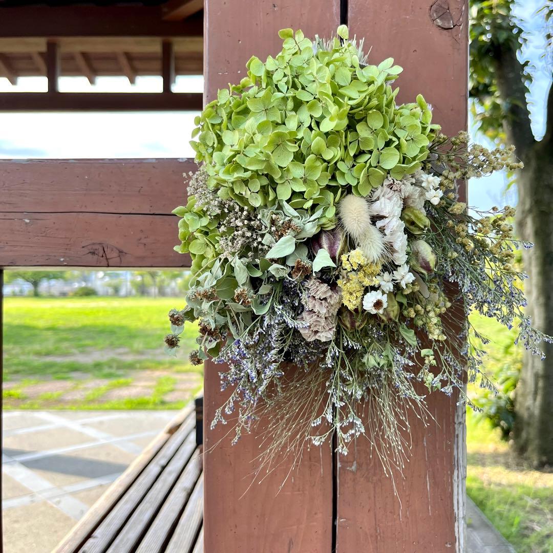 アナベル紫陽花　スワッグ