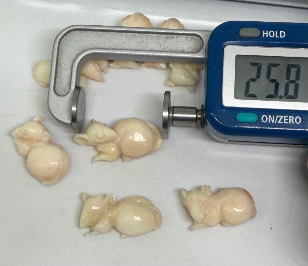 3312 天然白珊瑚動物彫刻 9個セット 約26.35g