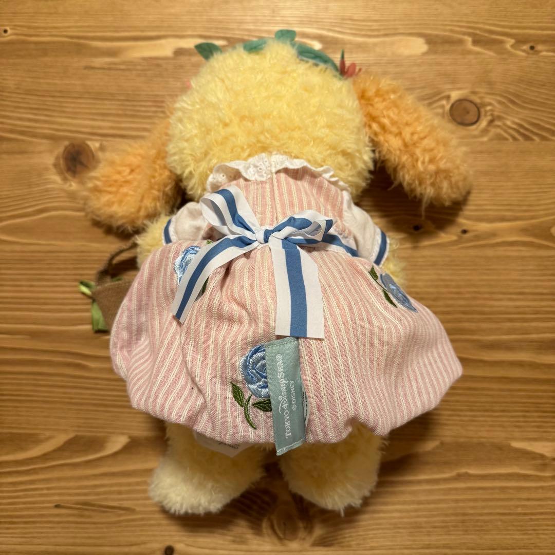 香港ディズニー クッキーアン Sサイズ & スプリングインブルーム コスチューム