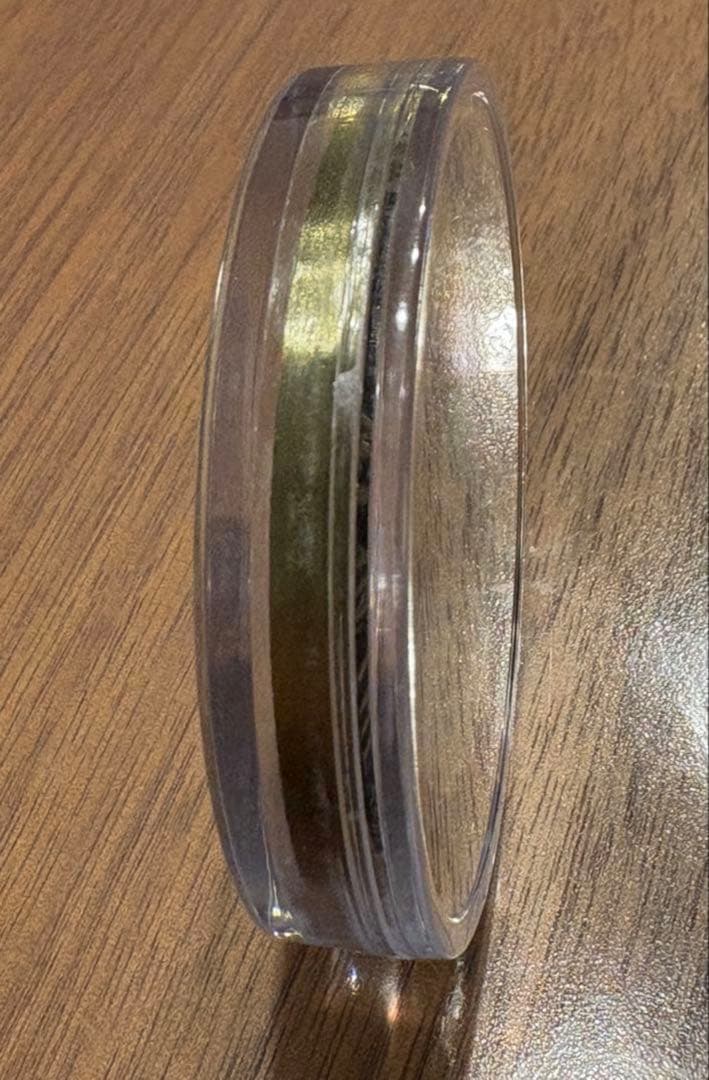 イギリス海軍Prince of Wales R09 プリンスオブウェールズ