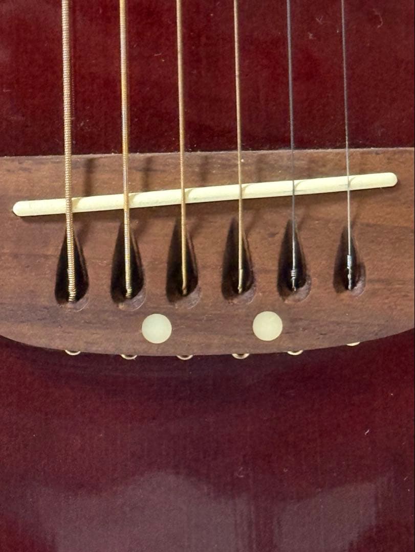 エレキギター、CS257, Ovation Celebrity Deluxe