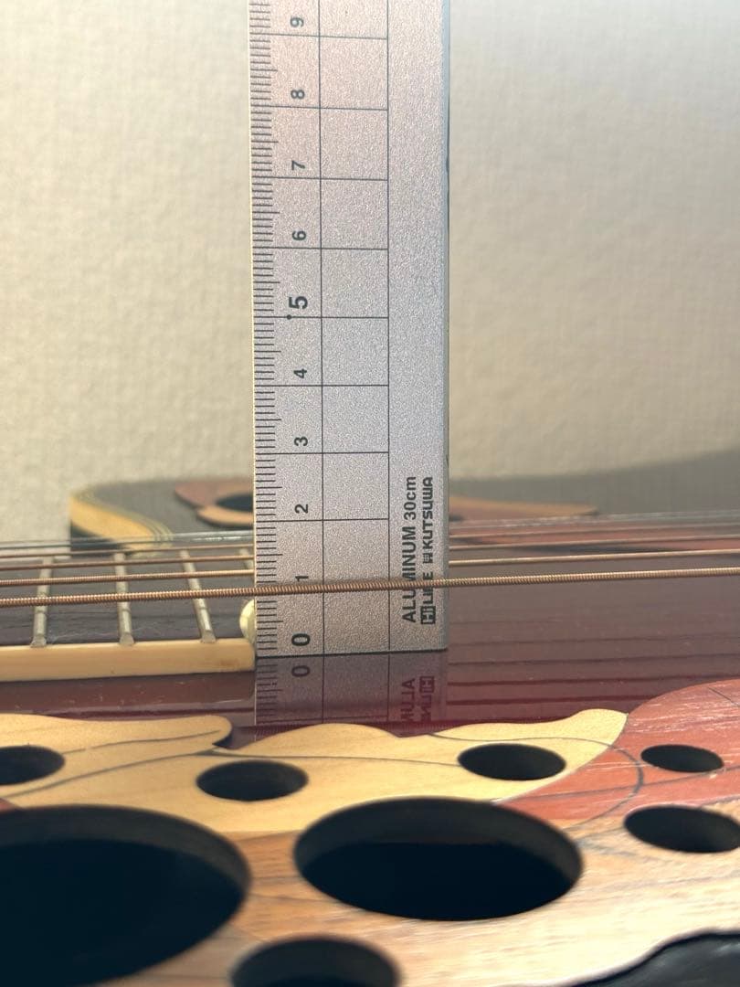 エレキギター、CS257, Ovation Celebrity Deluxe