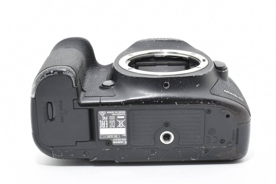 ショット数: 176回 Canon EOS 5D Mark III #1161