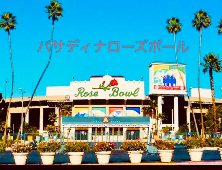 シルバー／銀張り☆USAF.米空軍第428戦闘飛行隊＊バッカニアズ＊スコードロン