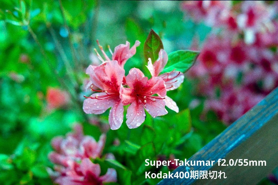 ASAHI PENTAX SV セット（試写あり）