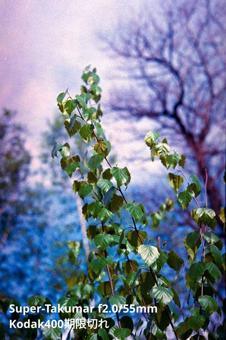 ASAHI PENTAX SV セット（試写あり）