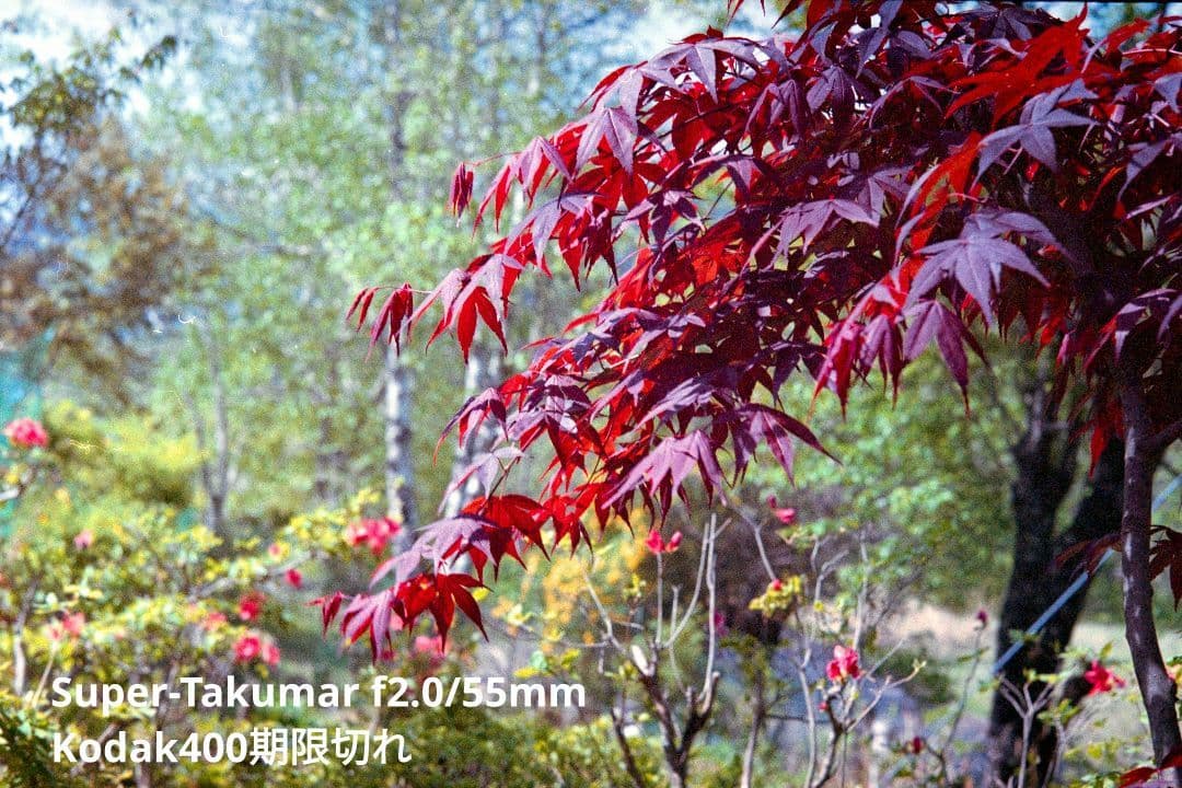 ASAHI PENTAX SV セット（試写あり）