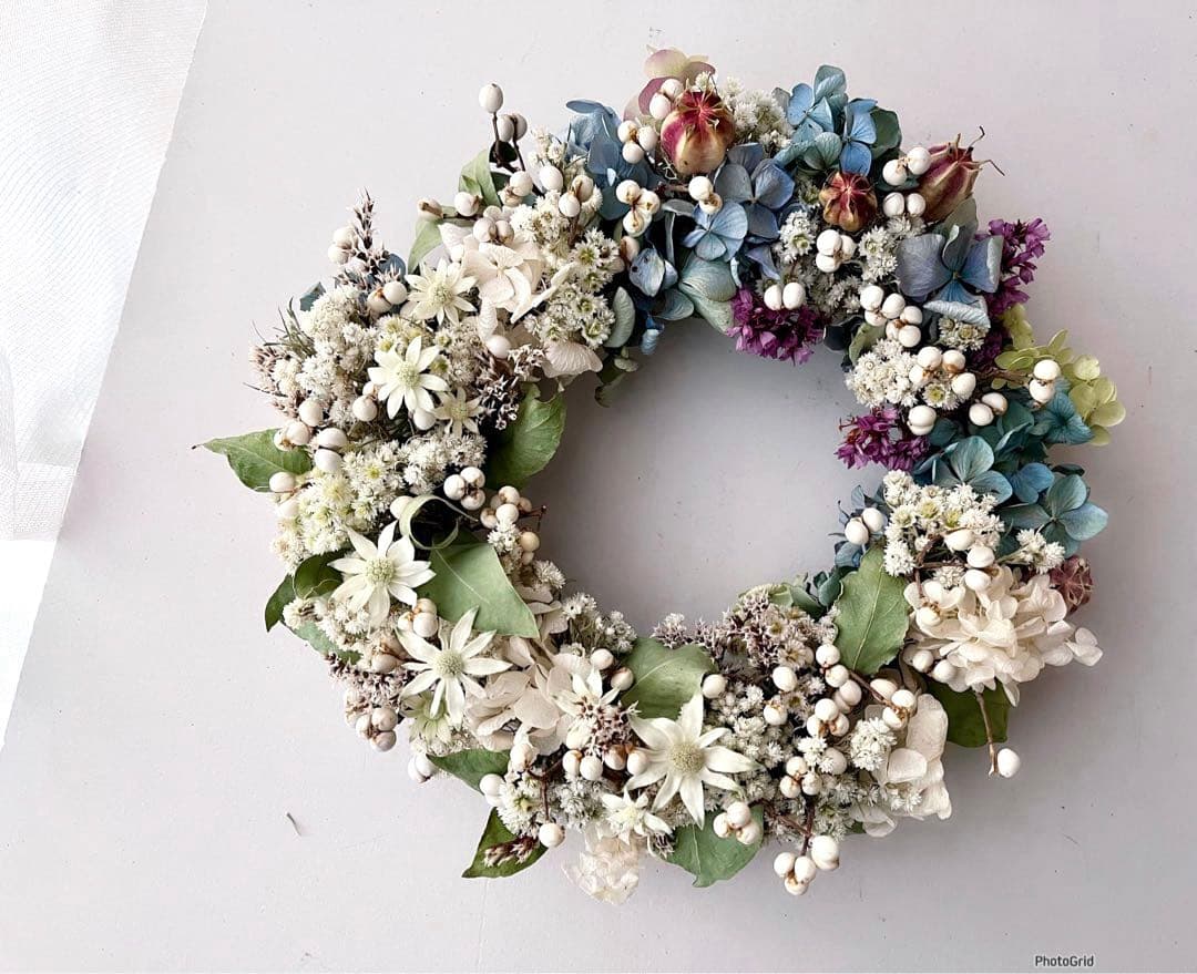 フランネルフラワーと紫陽花のリース　ドライフラワーリース