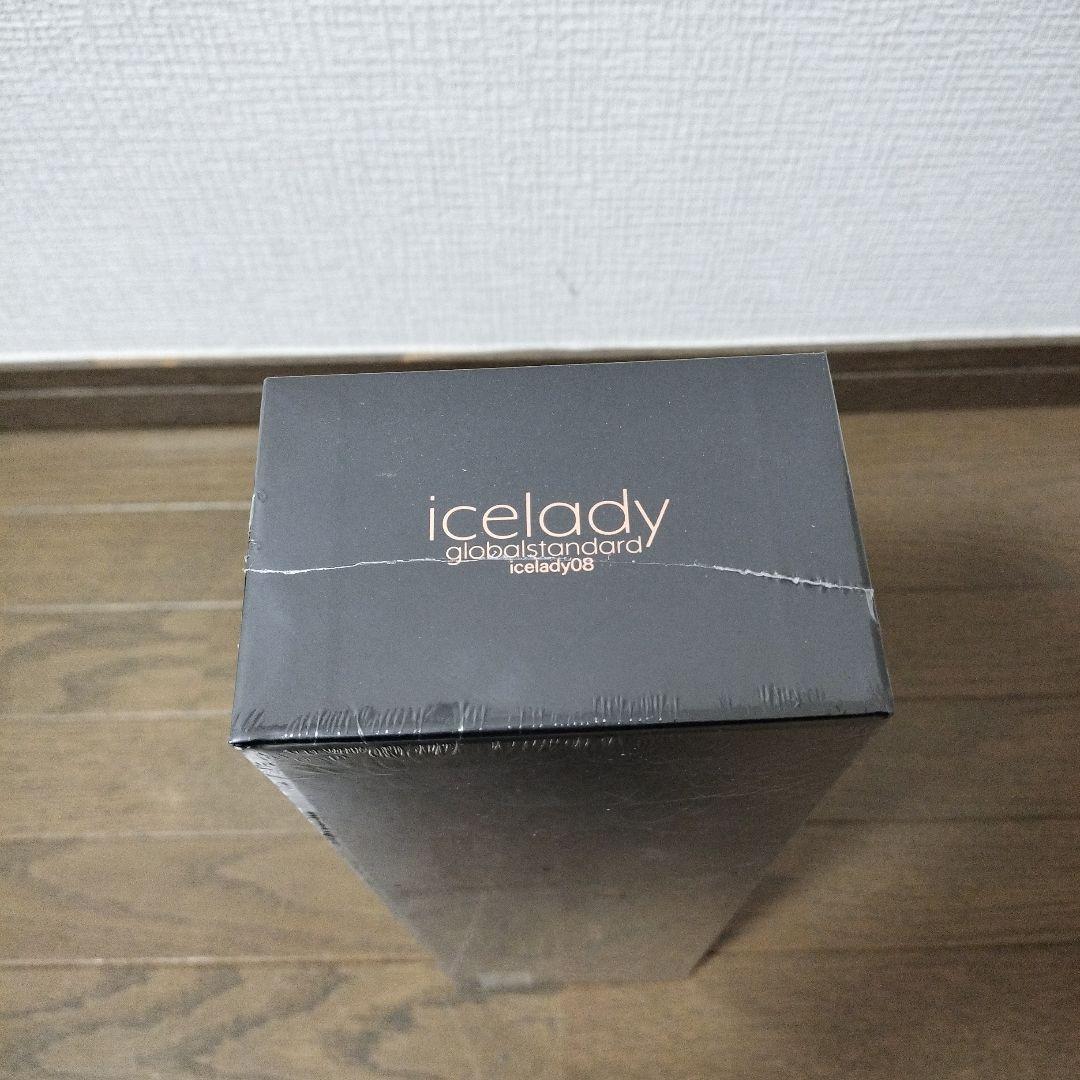 新品　Notime アイスレディ ドライヤー グローバル スタンダード