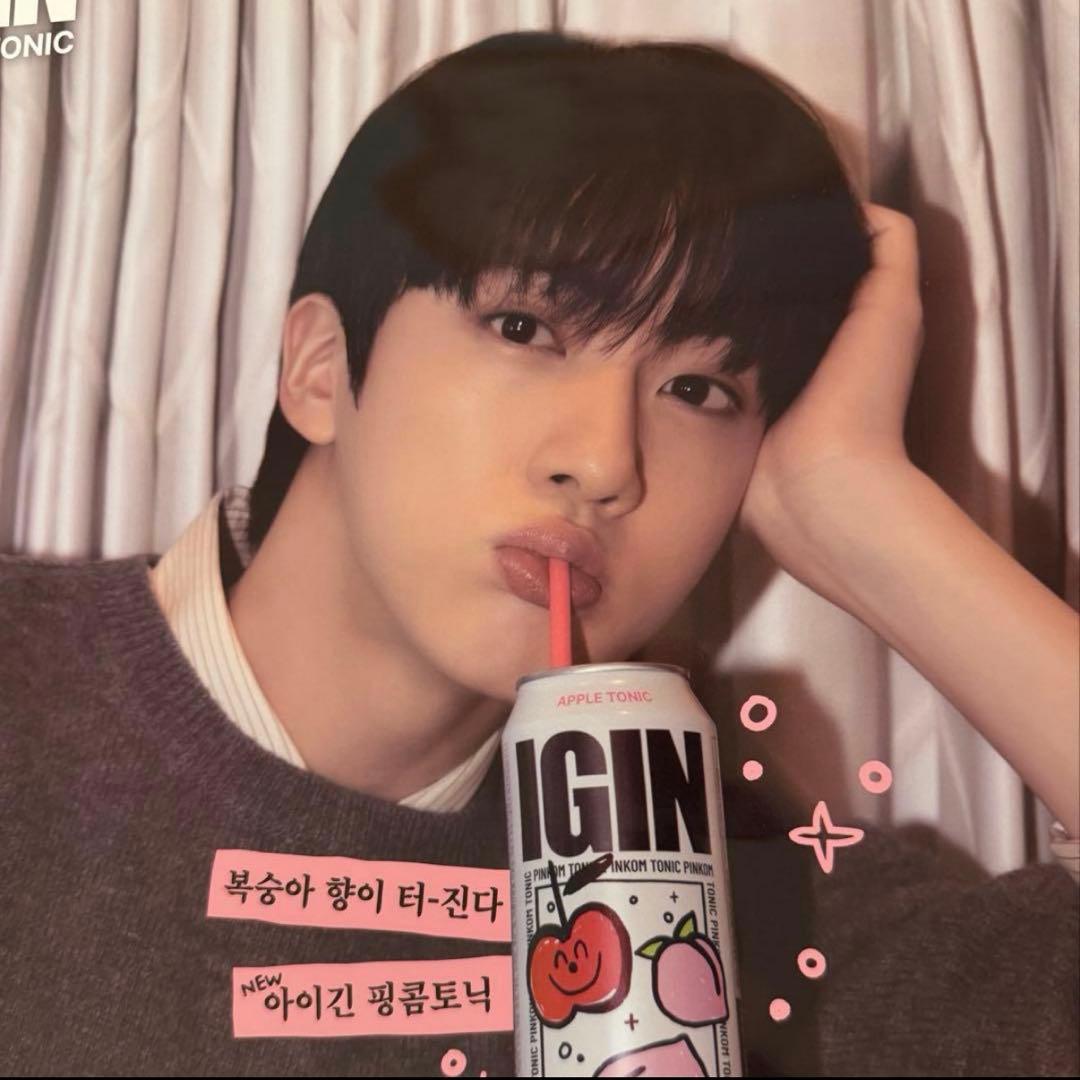 レア非売品★IGIN BTS JIN 韓国限定ポスター　即日発送