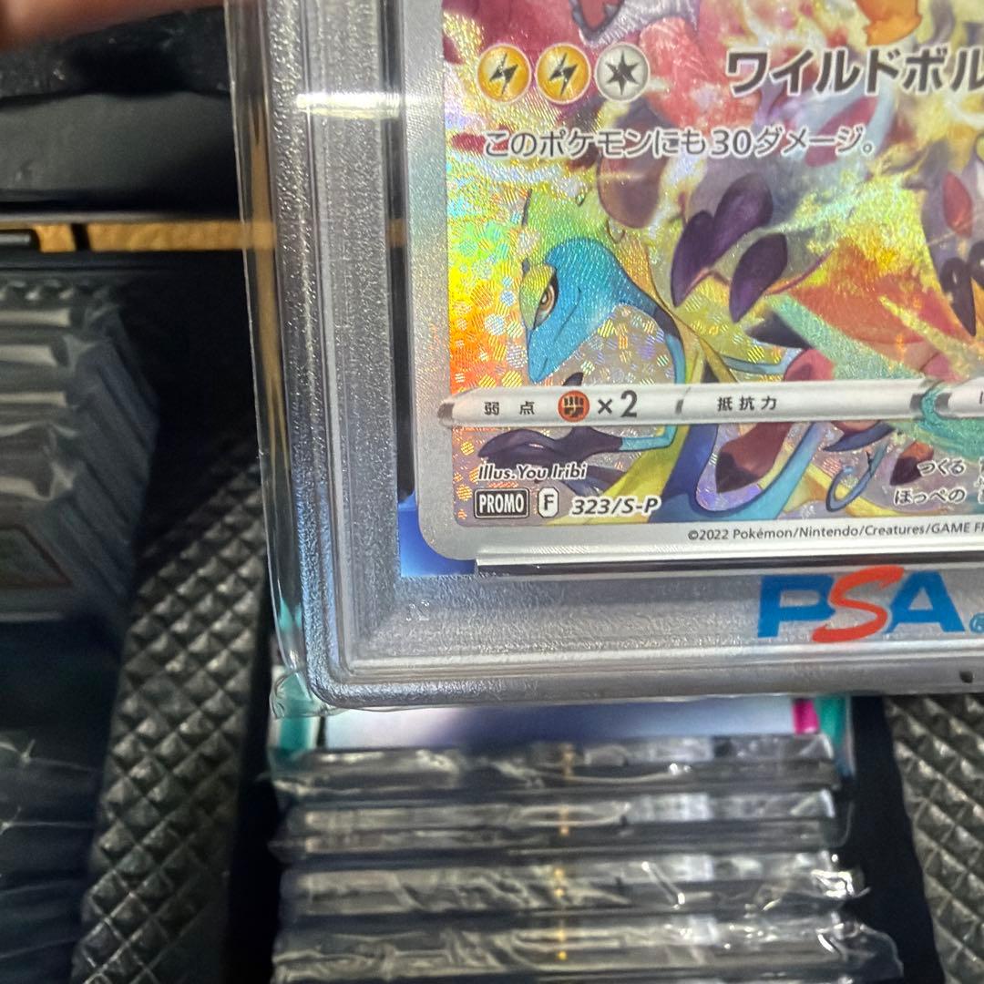 【️最安値】PSA10ピカチュウプレシャス コレクターボックス PROMO S-P