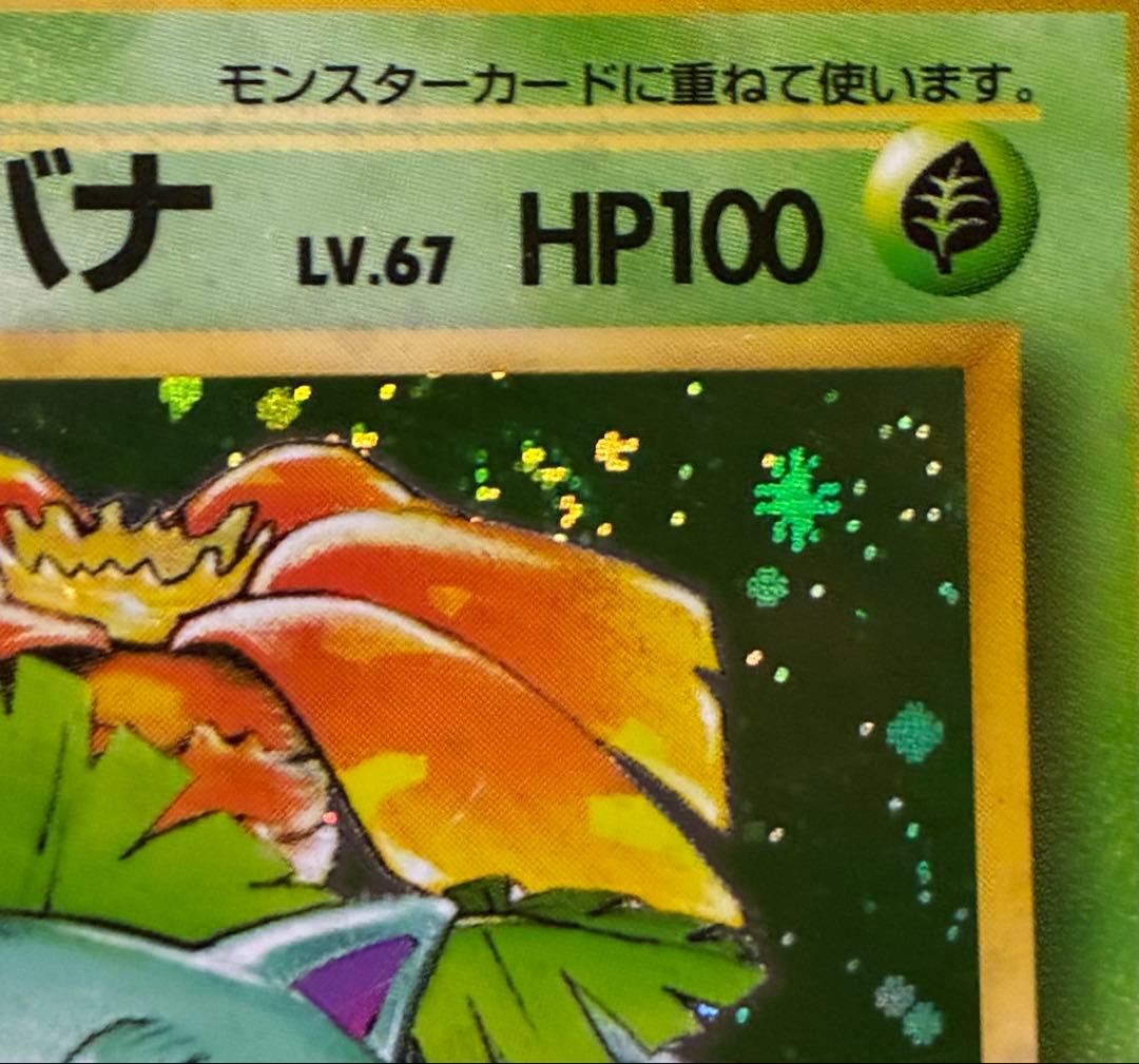 【旧裏】フシギバナ 渦ホロ 十字ホロ　ポケモンカード