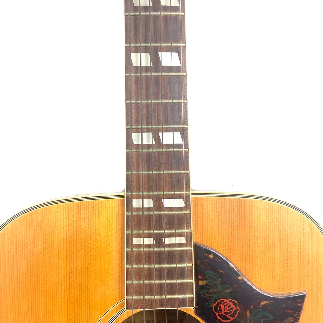 TOMSON TGF-351 アコースティックギター