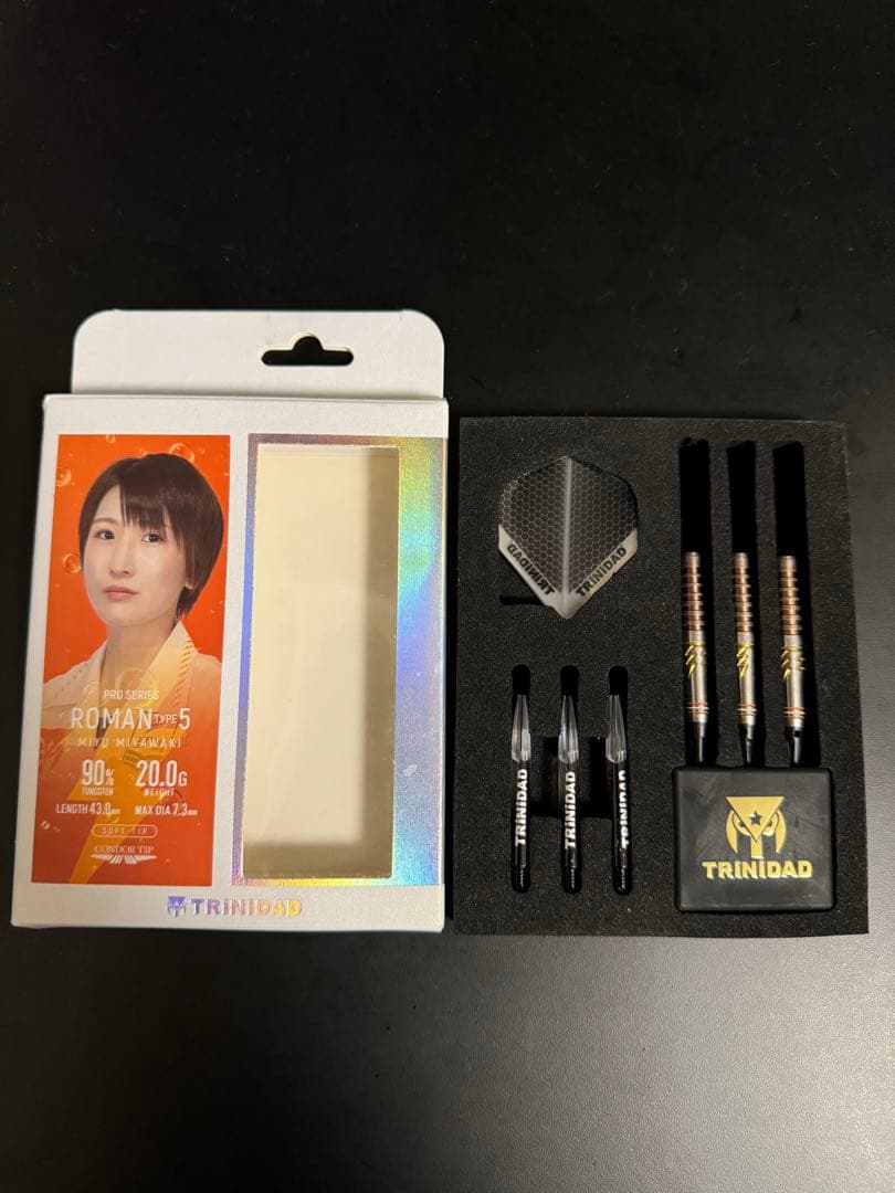 TRINIDAD ROMAN Type 5 ダーツセット