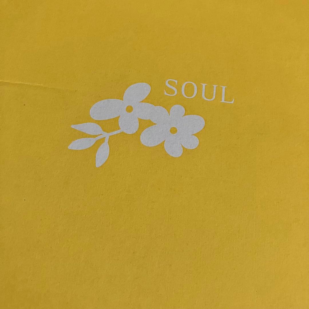 BoA SOUL Special Kit スペシャルキット