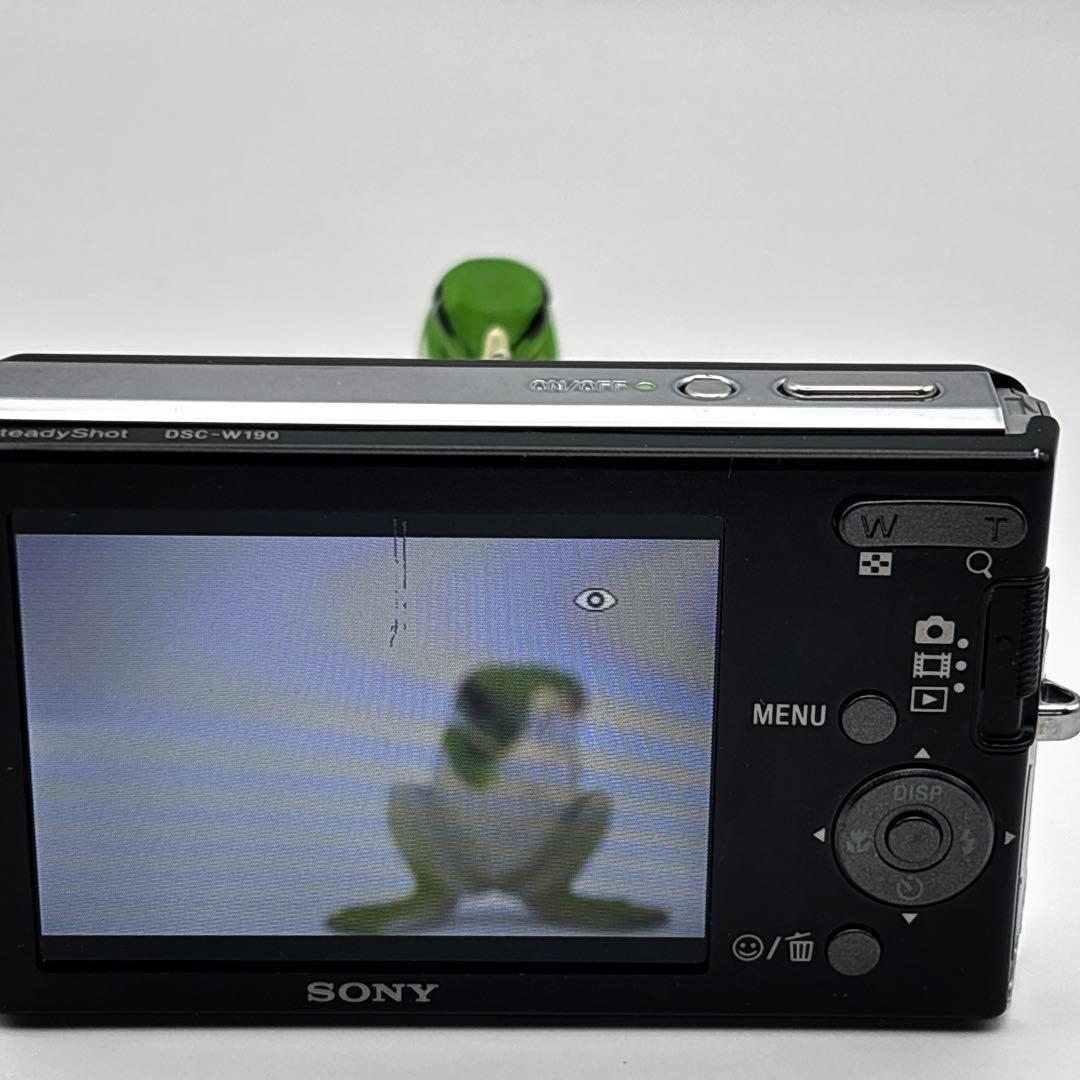 SONY Cyber-shot DSC-W190黒 オールド コンデジ デジカメ