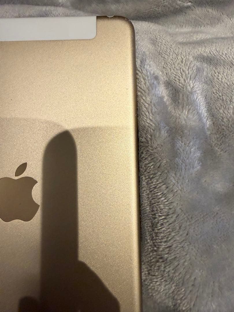 iPad本体 iPad mini 4 128GB