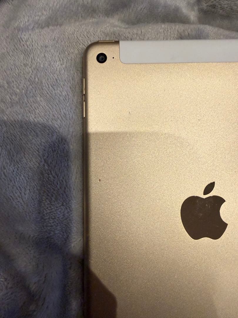 iPad本体 iPad mini 4 128GB