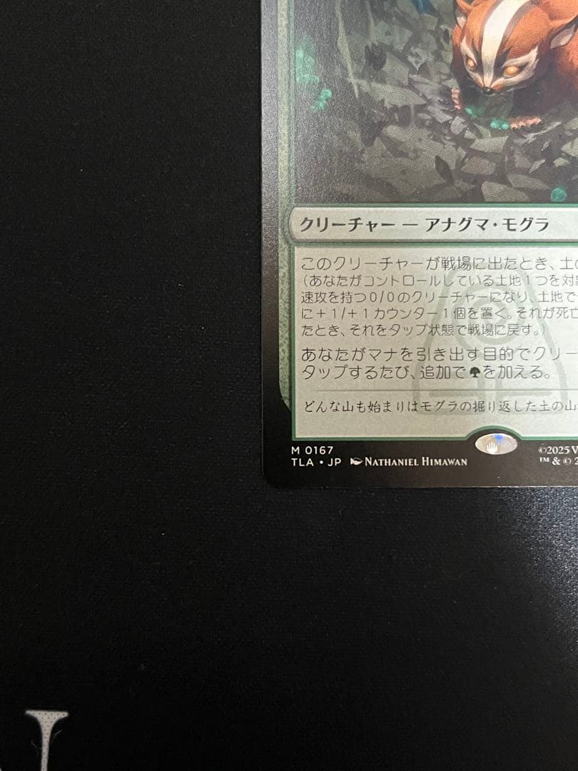 アナグマモグラの仔　日本語