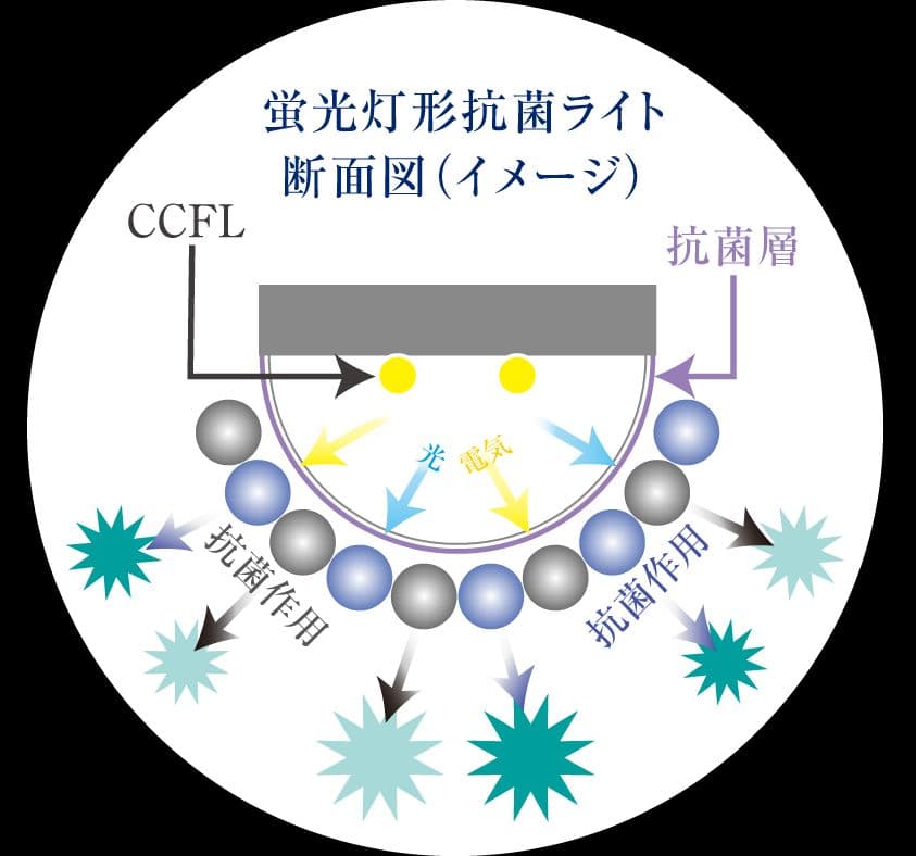 抗菌ライト（電球色）CCFL-11HV-O ( CCFL11HVO )堀内製作所